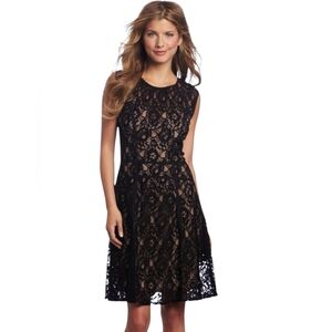 BCBGMAXAZRIA Khloe Black Lace Cocktail Dress Knee Length Petite Large LP